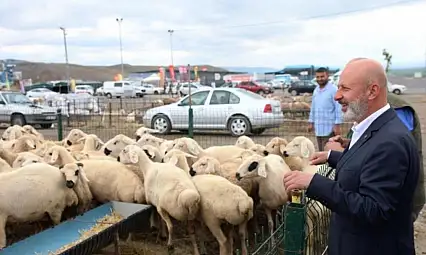 Kocasinan'dan modern kesimhane eksikleri tamamlandı!