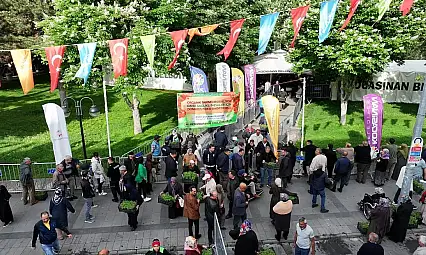 Kocasinan'dan müjde: Ücretsiz domates fidesi dağıtım tarihi netleşti