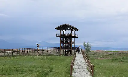 Kuş cennetinde kuraklık bitti, yaşam başladı