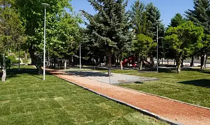 Melikgazi'de tam 350 tane var: Görenlerin gözleri kamaşıyor!