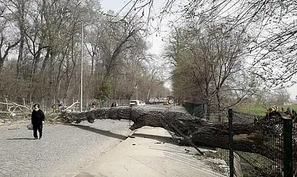 Meteoroloji uyardı: Saatte 60 km hızla esecek!
