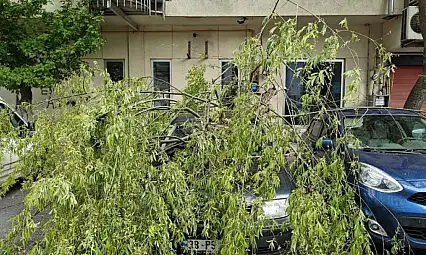 Meteorolojiden 'kuvvetli' uyarısı: Çatı, ağaç ve direklere dikkat!
