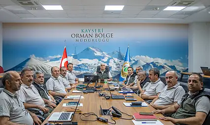 Orman yangınları için kritik zirve! Kayseri de masada