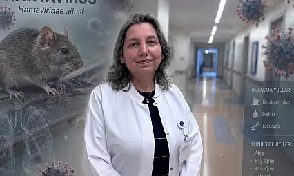 Prof. Dr. Yasemin Ersoy'dan hantavirüs uyarısı!