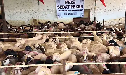 Sedat Peker'den Kayseri'ye kurban yardımı