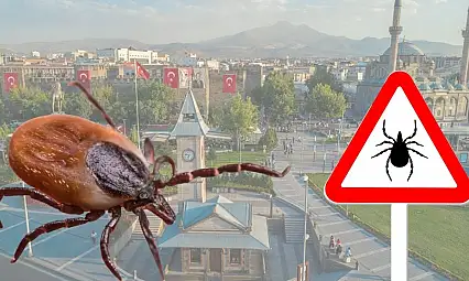 Şimdiden 5 can aldı: İşte keneyi çoğaltan faktörler...