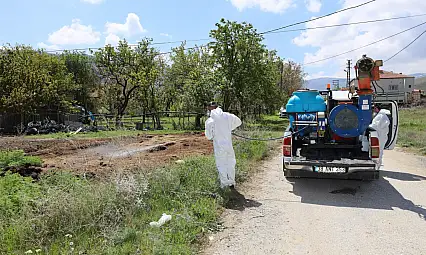 Sulak bölgelerden dere yataklarına! Kayseri'de belediyenin larva alarmı