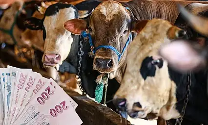 Taksitle kurban kesilir mi? İl Müftülüğünden açıklama geldi
