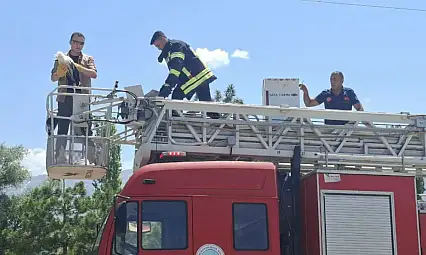 Tomarza'da 3 gündür aç ve susuz kalan yavrular kurtarıldı