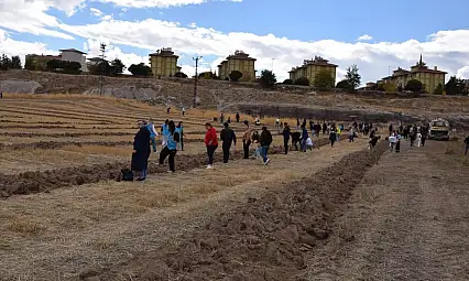 Tomarza'da 'Hatıra Ormanı' oluşturuluyor