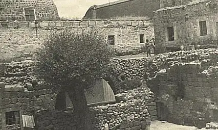 'Toprağa her dokunduğumuzda yeni bir tarih...' Başkan Büyükkılıç müjdeyi verdi