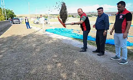 Türkiye'de 2'nci! Kayseri'de hasat mesaisi sürüyor