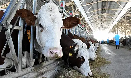 Üretici istedi, Ankara onayladı: O şart kaldırıldı!