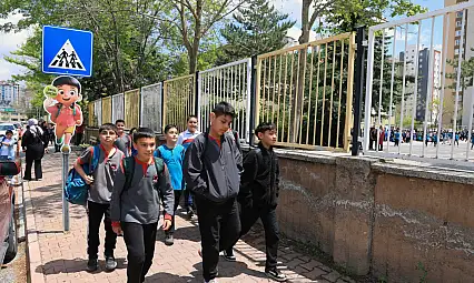 Yaya geçitlerinin böylesi görülmedi