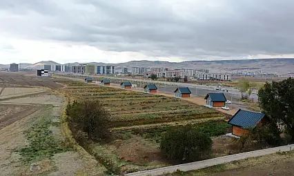 Yediveren Kadın Kooperatifi son hasadını yaptı