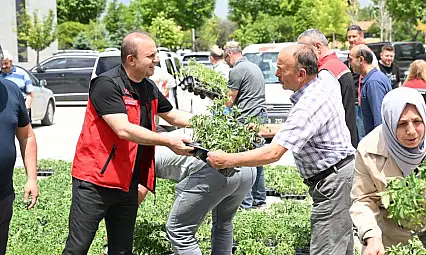 Yeniden ücretsiz fide dağıtıldı! Devamı gelecek mi?