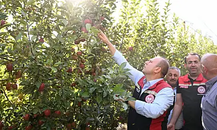 Yüzde 50 hibe desteği verilmişti! İl Müdürü bahçede inceleme yaptı