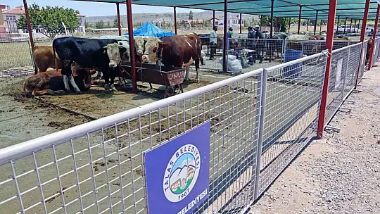 Kurban Satış ve Kesim Alanı tam not aldı