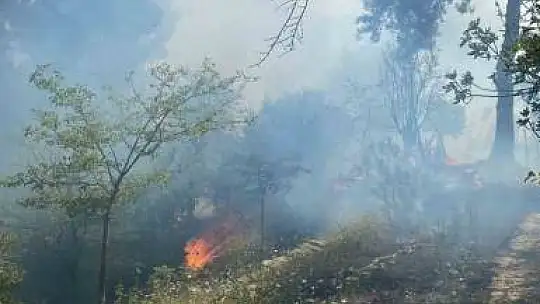 Adana'da ikinci orman yangını: Ekipler müdahaleye başladı