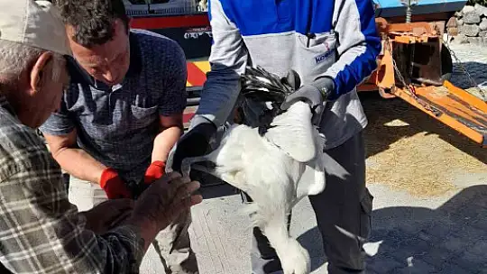Doğa Koruma ve Milli Park Müdürlüğü'nden leylek operasyonu!