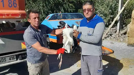 Doğa Koruma ve Milli Park Müdürlüğü'nden leylek operasyonu!