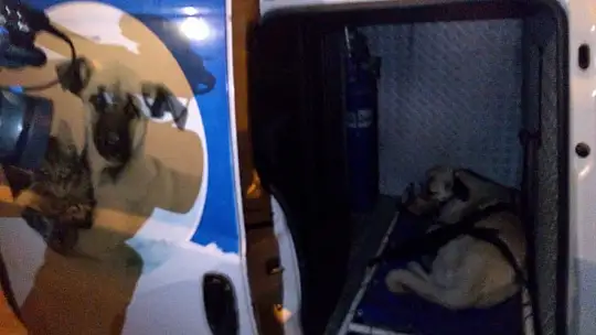 Bu ambulans başka