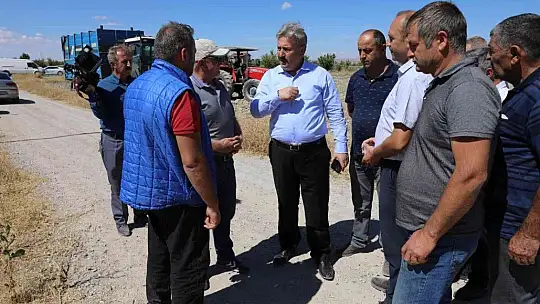 Palancıoğlu: Aspir tohumları hasat edilmeye başlandı