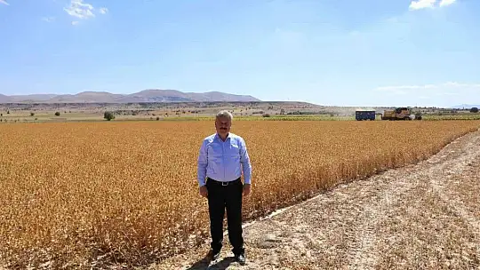 Palancıoğlu: Aspir tohumları hasat edilmeye başlandı
