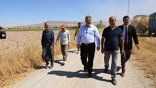 Palancıoğlu: Aspir tohumları hasat edilmeye başlandı