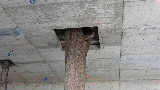 Bu inşaatı görenler şaşırıyor