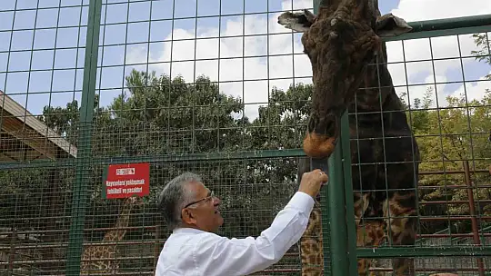 Büyükşehir Hayvanat Bahçesi Kurban Bayramı'nda ücretsiz