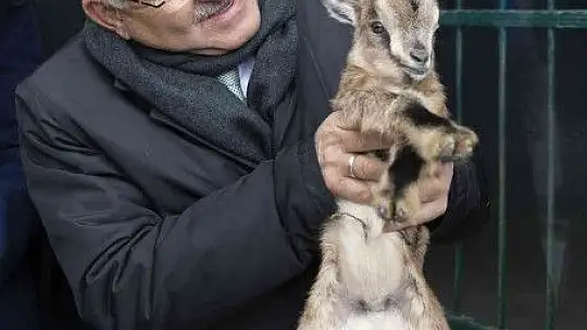 1 yılda 375 bin kişi ziyaret etti...