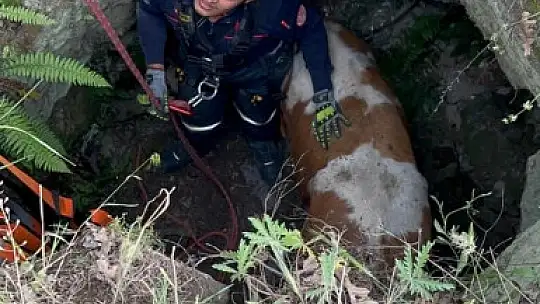 Sarı kızı böyle kurtardılar