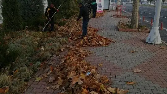 Gazeller gübreye dönüşüyor...