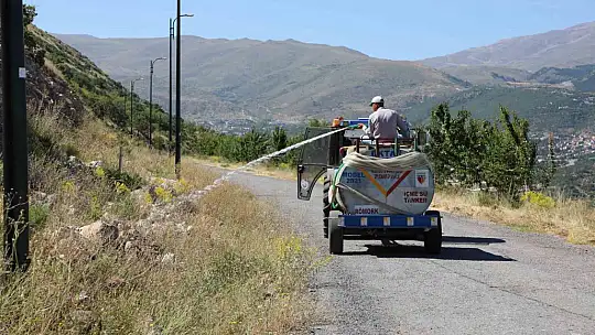 O dağ yeşillenecek mi?