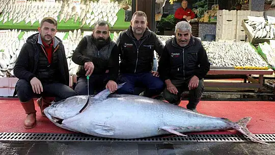 Dev orkinos ilgi odağı oldu