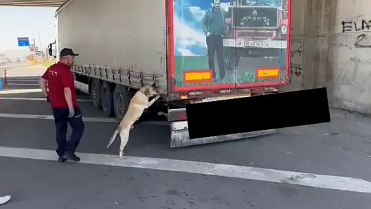 80 kg uyuşturucu madde ele geçirildi