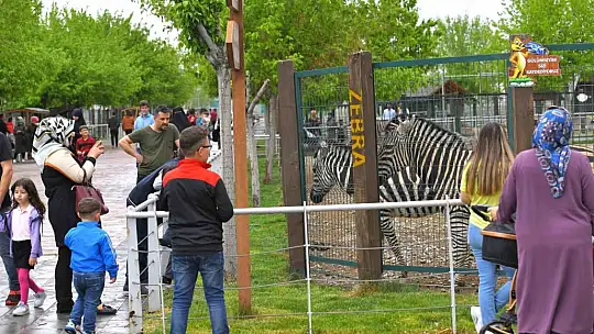 Kurban Bayramı'nda Ücretsiz