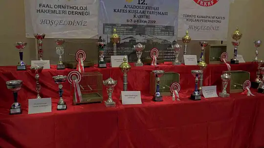 Kafes kuşları güzellikte yarıştı