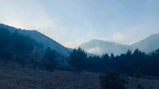 Kahramanmaraş'taki orman yangını kontrol altına alındı