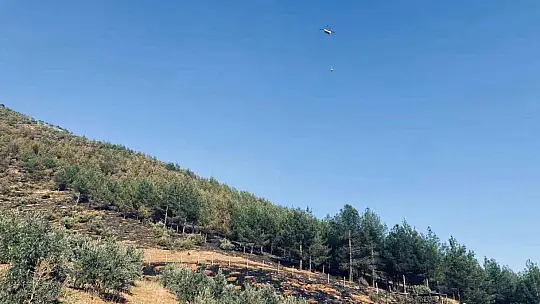 Kahramanmaraş'taki orman yangını kontrol altına alındı