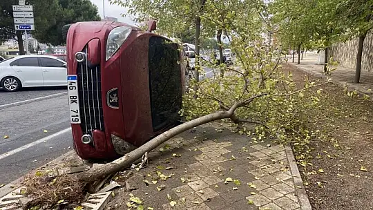 Kaldırımdaki ağaca çarpan araç yan yattı