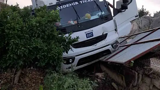 Kamyon sürücüsü direksiyonu başında ölü bulundu