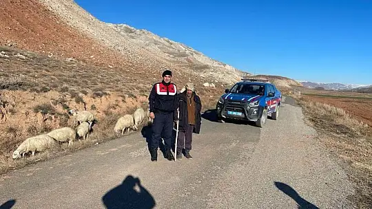 Kayıp Koyun operasyonu...