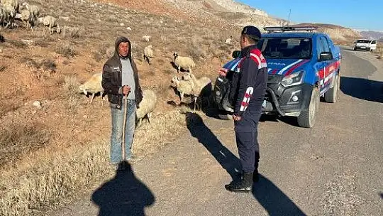 Kayıp Koyun operasyonu...