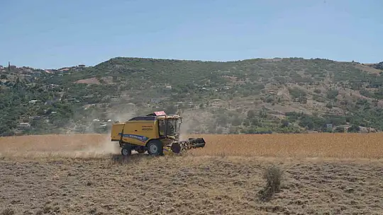 En fazla üretimi yapılan il Kayseri oldu