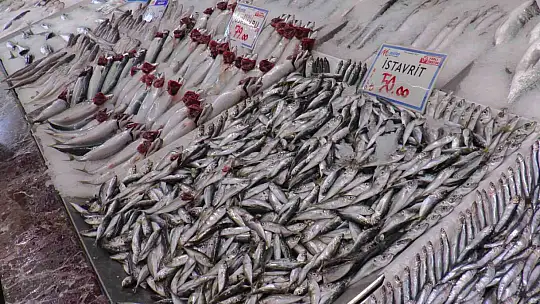 Kayseri'de hamsiye ilgi yoğun!