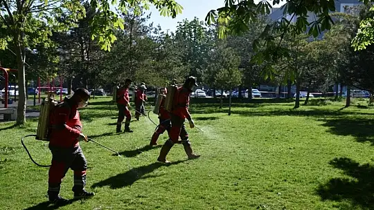 Kocasinan'da mücadele başladı! Ekipler bakın ne için sahada...