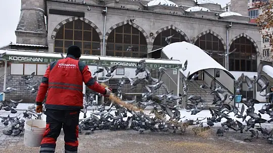 Kayseri'de 18 ton yem dağıtılacak