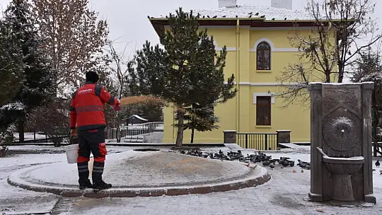 Kayseri'de 18 ton yem dağıtılacak